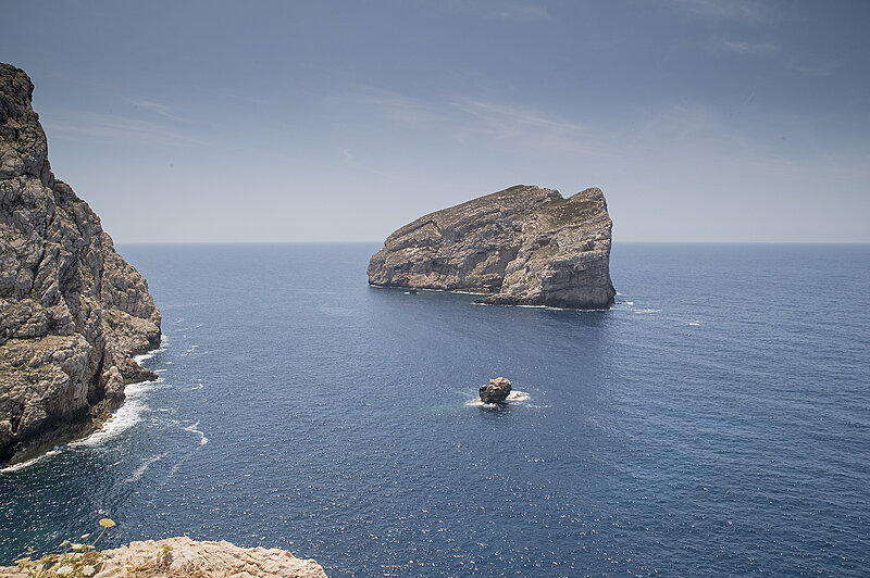 Натиснете снимката за да я уголемите  Име:780_9351.jpg Прегледи:0 Размер:2.34 МБ ID:7022380