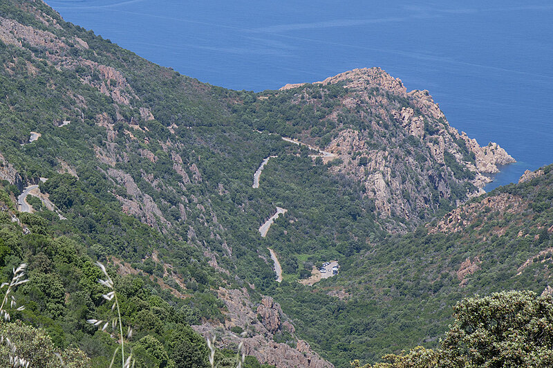 Натиснете снимката за да я уголемите  Име:780_9578.jpg Прегледи:0 Размер:1.03 МБ ID:7022528