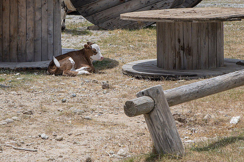 Натиснете снимката за да я уголемите  Име:780_9609.jpg Прегледи:0 Размер:1.20 МБ ID:7022538