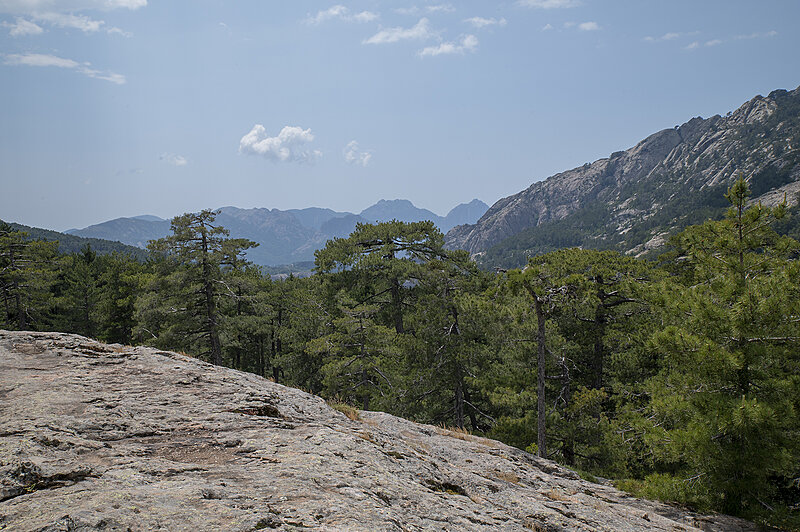 Натиснете снимката за да я уголемите  Име:780_9646.jpg Прегледи:0 Размер:2.62 МБ ID:7022542