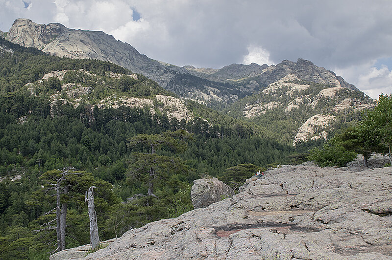 Натиснете снимката за да я уголемите  Име:780_9675.jpg Прегледи:0 Размер:2.18 МБ ID:7022544