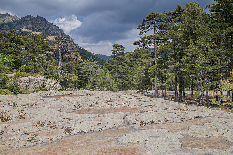 Натиснете снимката за да я уголемите  Име:780_9687.jpg Прегледи:0 Размер:1.23 МБ ID:7022546