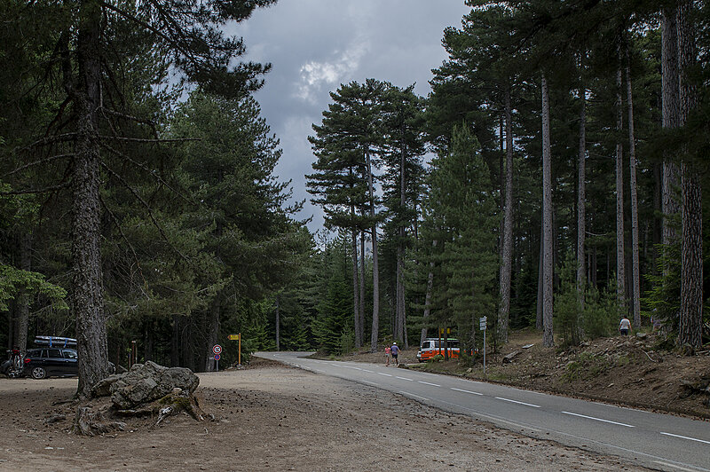 Натиснете снимката за да я уголемите  Име:780_9688.jpg Прегледи:0 Размер:2.74 МБ ID:7022547