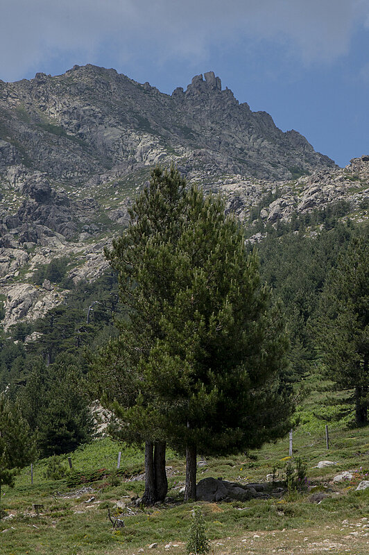 Натиснете снимката за да я уголемите  Име:780_9638.jpg Прегледи:0 Размер:837.2 КБ ID:7022548
