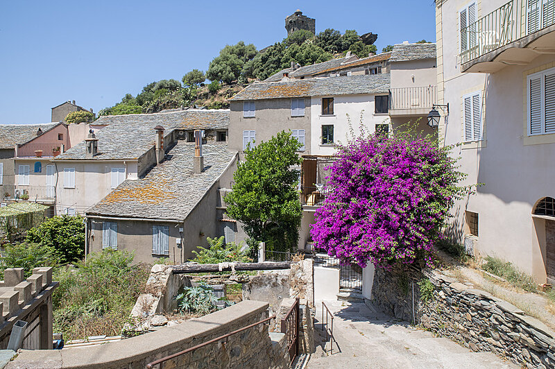 Натиснете снимката за да я уголемите  Име:780_9840.jpg Прегледи:0 Размер:1.19 МБ ID:7022624