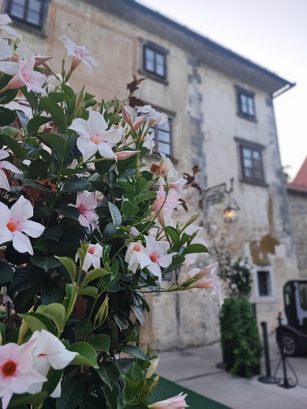 Натиснете снимката за да я уголемите  Име:viber_изображение_2026-01-20_20-59-44-047.jpg Прегледи:0 Размер:225.9 КБ ID:7022982