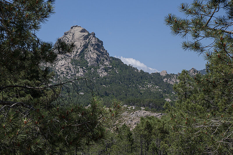 Натиснете снимката за да я уголемите  Име:780_9548.jpg Прегледи:0 Размер:3.25 МБ ID:7023425