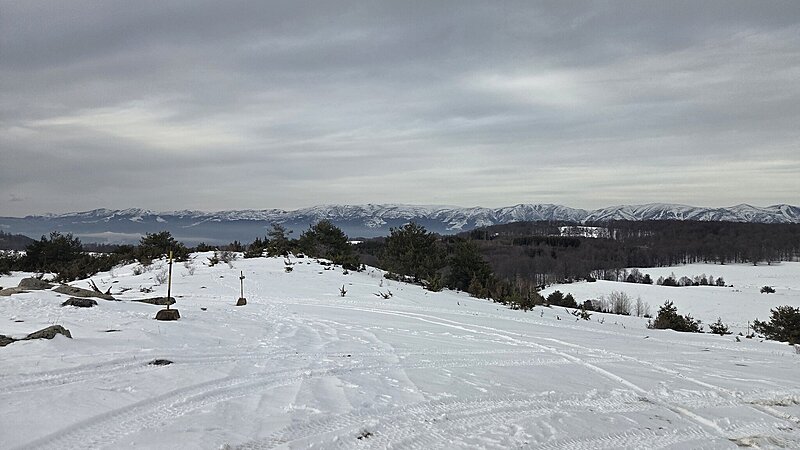 Натиснете снимката за да я уголемите

Име:20260124_154625.jpg
Прегледи:0
Размер:332.9 КБ
ID:7023461