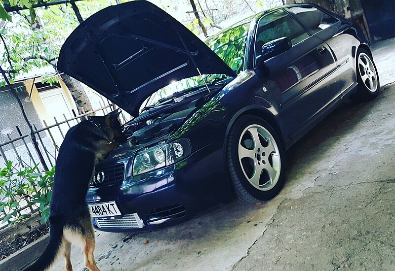 Натиснете снимката за да я уголемите

Име:image-0-02-01-9e4b3d7625dcf0b3b127ce0847dfd944105422fd7fc488555c0ab19daaeb9795-V.jpg
Прегледи:192
Размер:247.8 КБ
ID:7023488