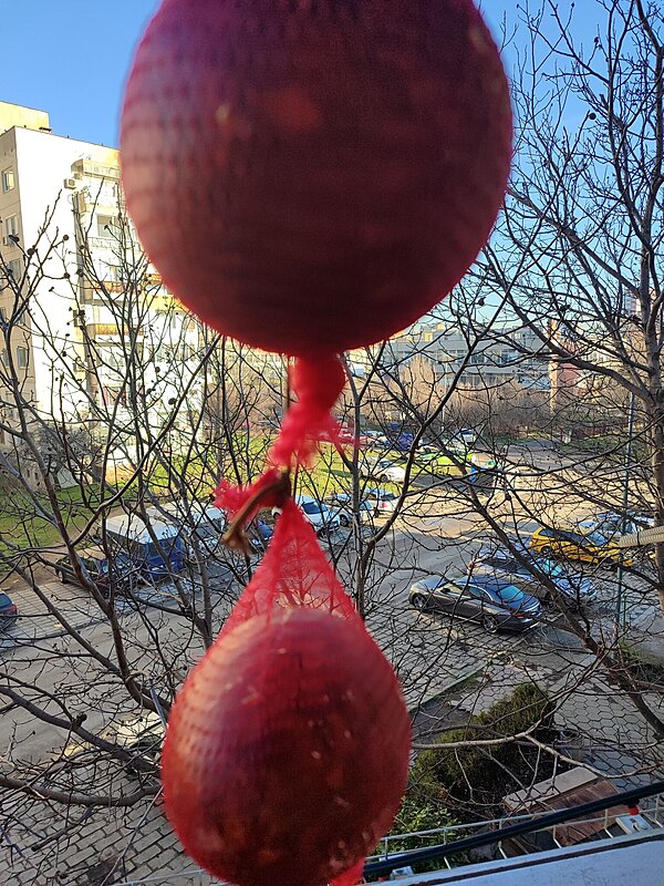 Натиснете снимката за да я уголемите

Име:IMG_20260128_090736.jpg
Прегледи:77
Размер:905.7 КБ
ID:7023828