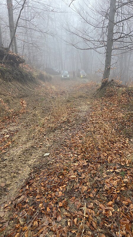 Натиснете снимката за да я уголемите

Име:20260131_120212.jpg
Прегледи:4
Размер:859.0 КБ
ID:7024406