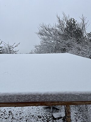 Натиснете снимката за да я уголемите

Име:IMG_3583.jpeg
Прегледи:69
Размер:539.6 КБ
ID:7024513