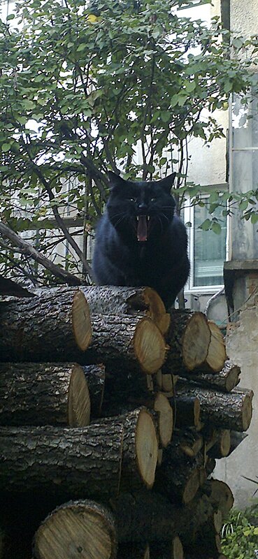 Натиснете снимката за да я уголемите

Име:Screenshot_20260213_084302_Gallery.jpg
Прегледи:2
Размер:378.6 КБ
ID:7026206