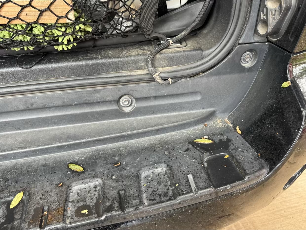 Натиснете снимката за да я уголемите

Име:IMG_2644-compressed.jpeg
Прегледи:54
Размер:456.9 КБ
ID:7027040