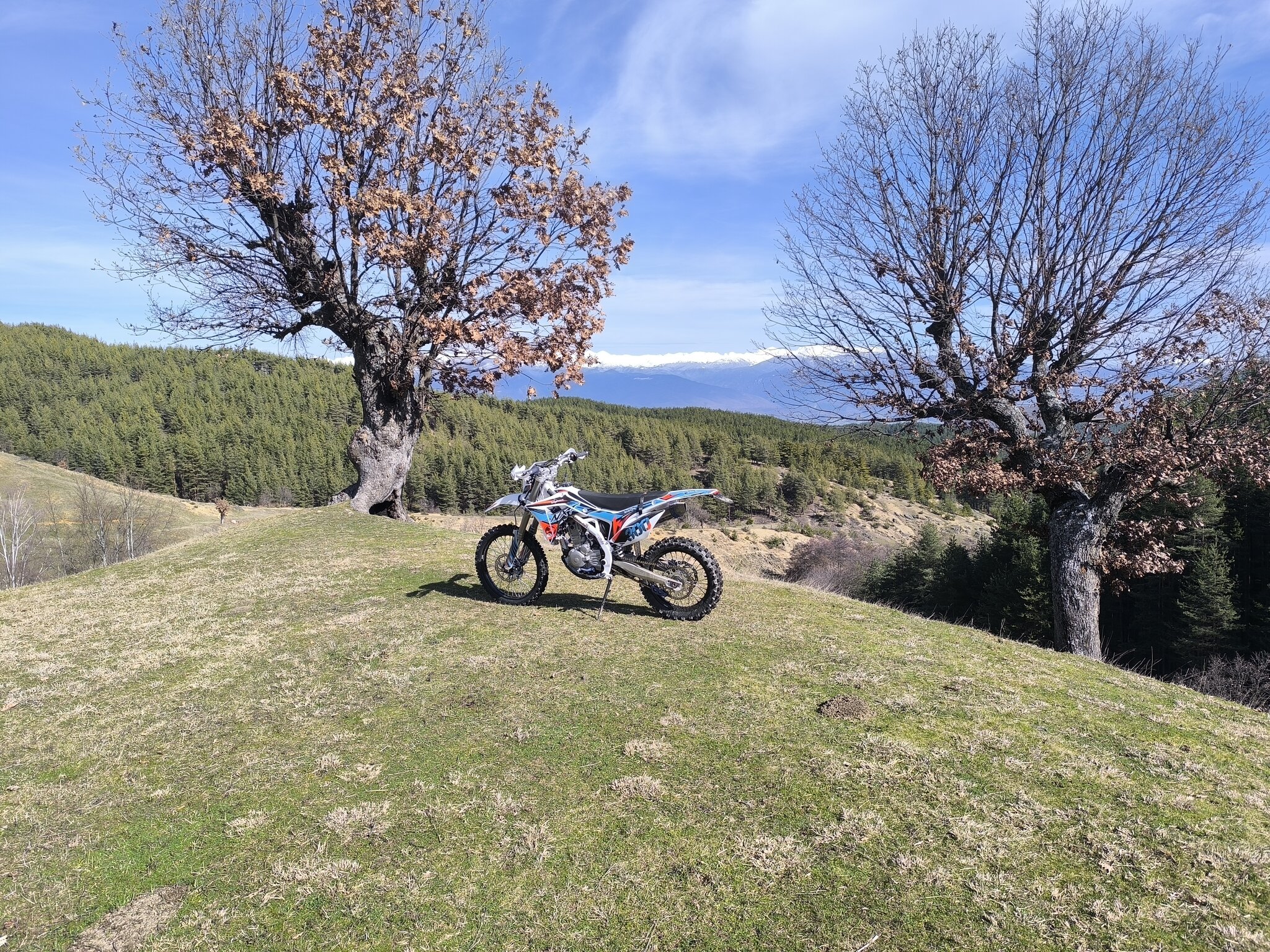 Натиснете снимката за да я уголемите

Име:IMG_20260219_130921.jpg
Прегледи:30
Размер:1.39 МБ
ID:7027151