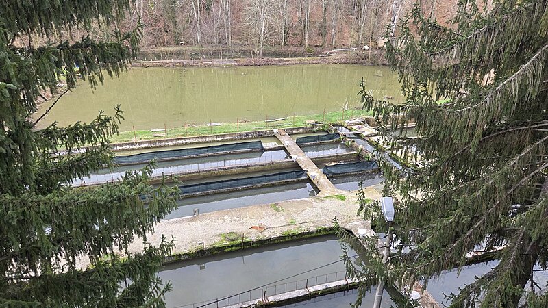 Натиснете снимката за да я уголемите

Име:20260220_132839.jpg
Прегледи:4
Размер:753.3 КБ
ID:7027387