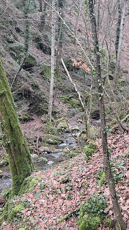 Натиснете снимката за да я уголемите

Име:20260220_165153.jpg
Прегледи:4
Размер:929.4 КБ
ID:7027391