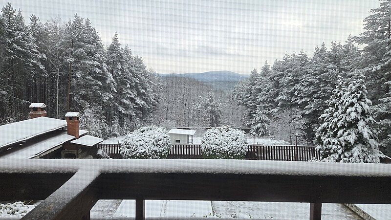 Натиснете снимката за да я уголемите

Име:20260222_072509.jpg
Прегледи:0
Размер:574.0 КБ
ID:7027575