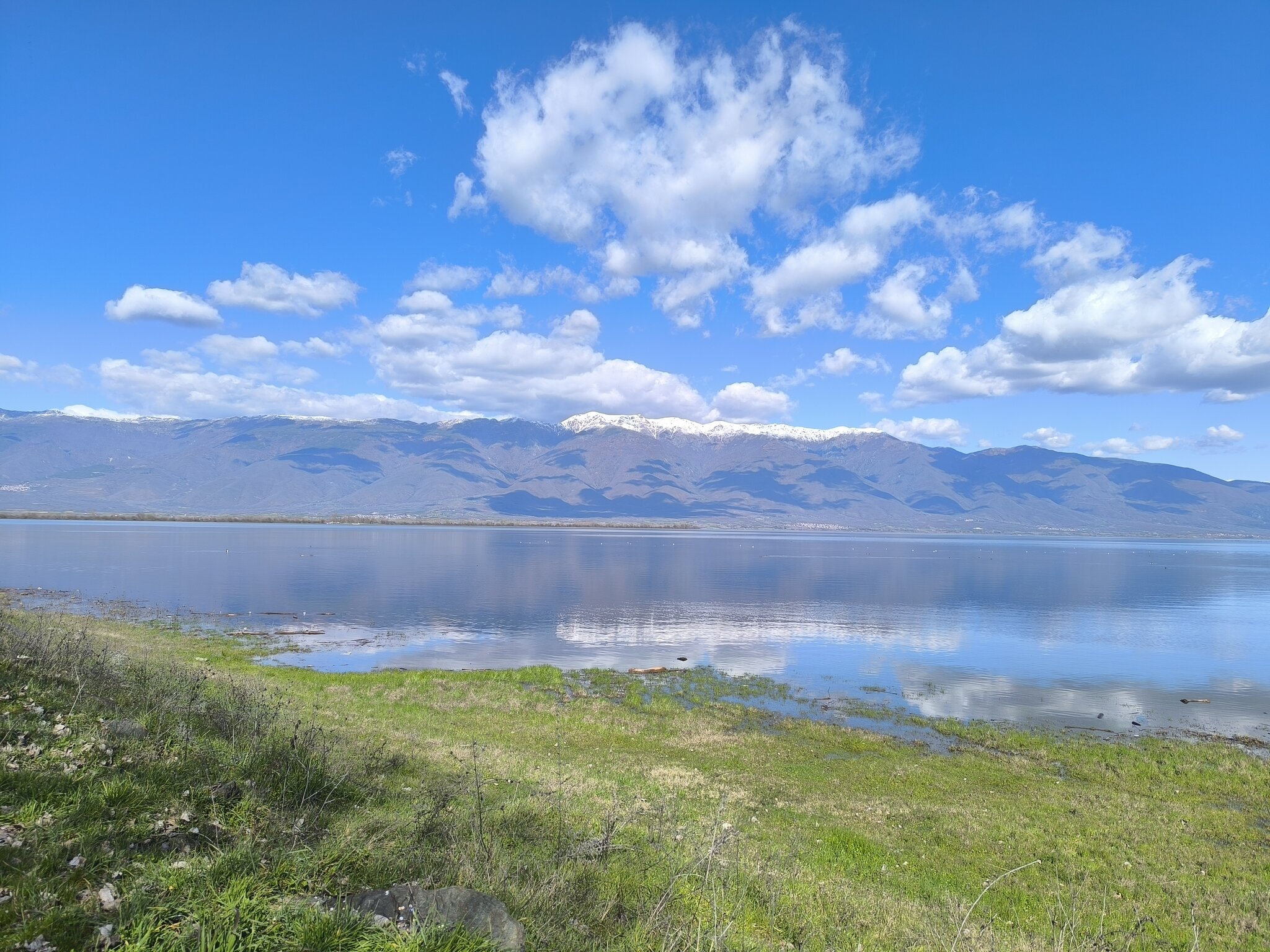 Натиснете снимката за да я уголемите

Име:IMG_20260225_124709.jpg
Прегледи:54
Размер:652.6 КБ
ID:7028184