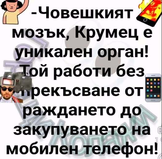 Натиснете снимката за да я уголемите

Име:642927496_25352111731130152_2830614681797690607_n.jpg
Прегледи:0
Размер:43.1 КБ
ID:7029208