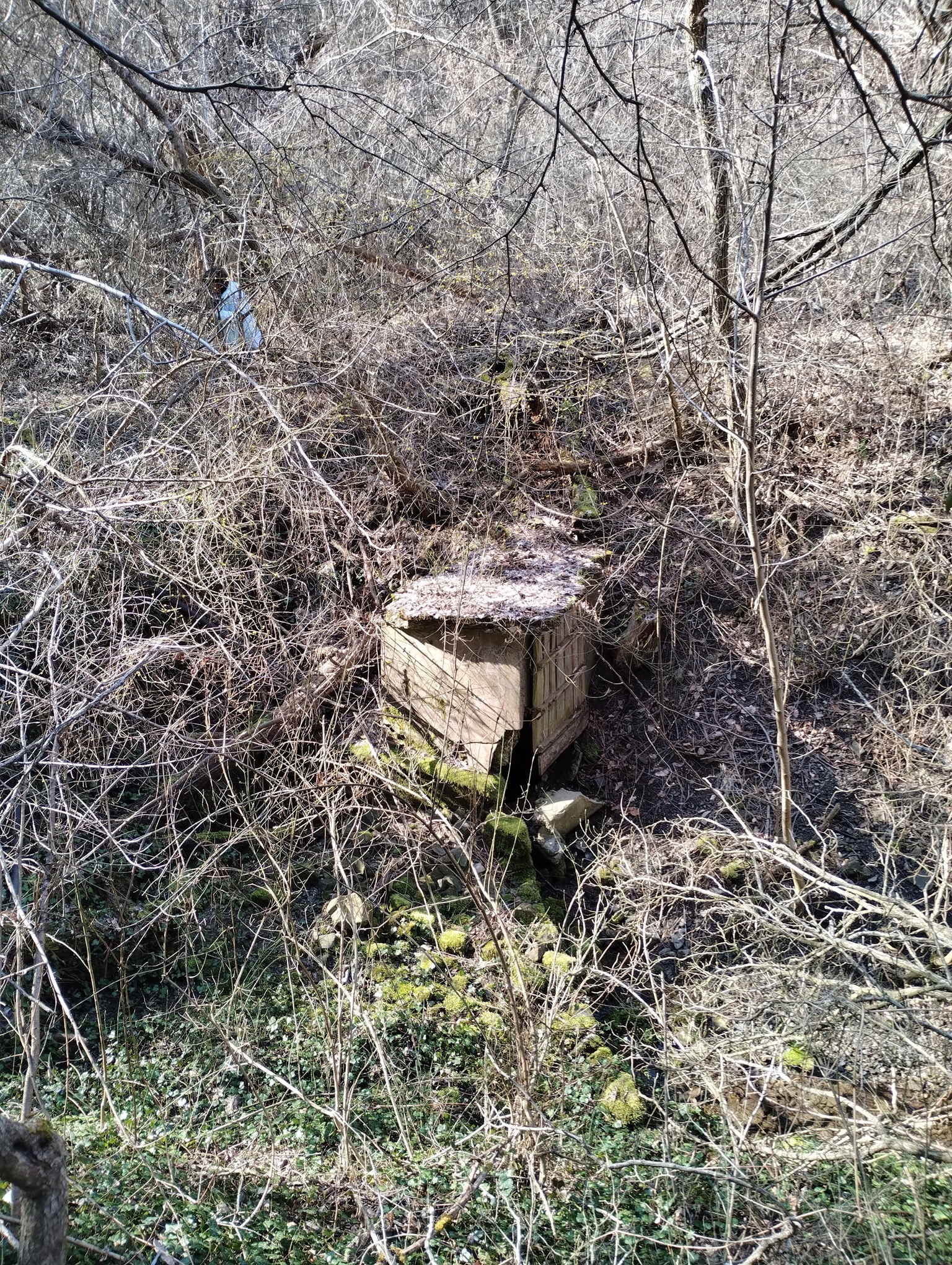 Натиснете снимката за да я уголемите

Име:IMG_20260307_143207818.jpg
Прегледи:0
Размер:2.13 МБ
ID:7029922