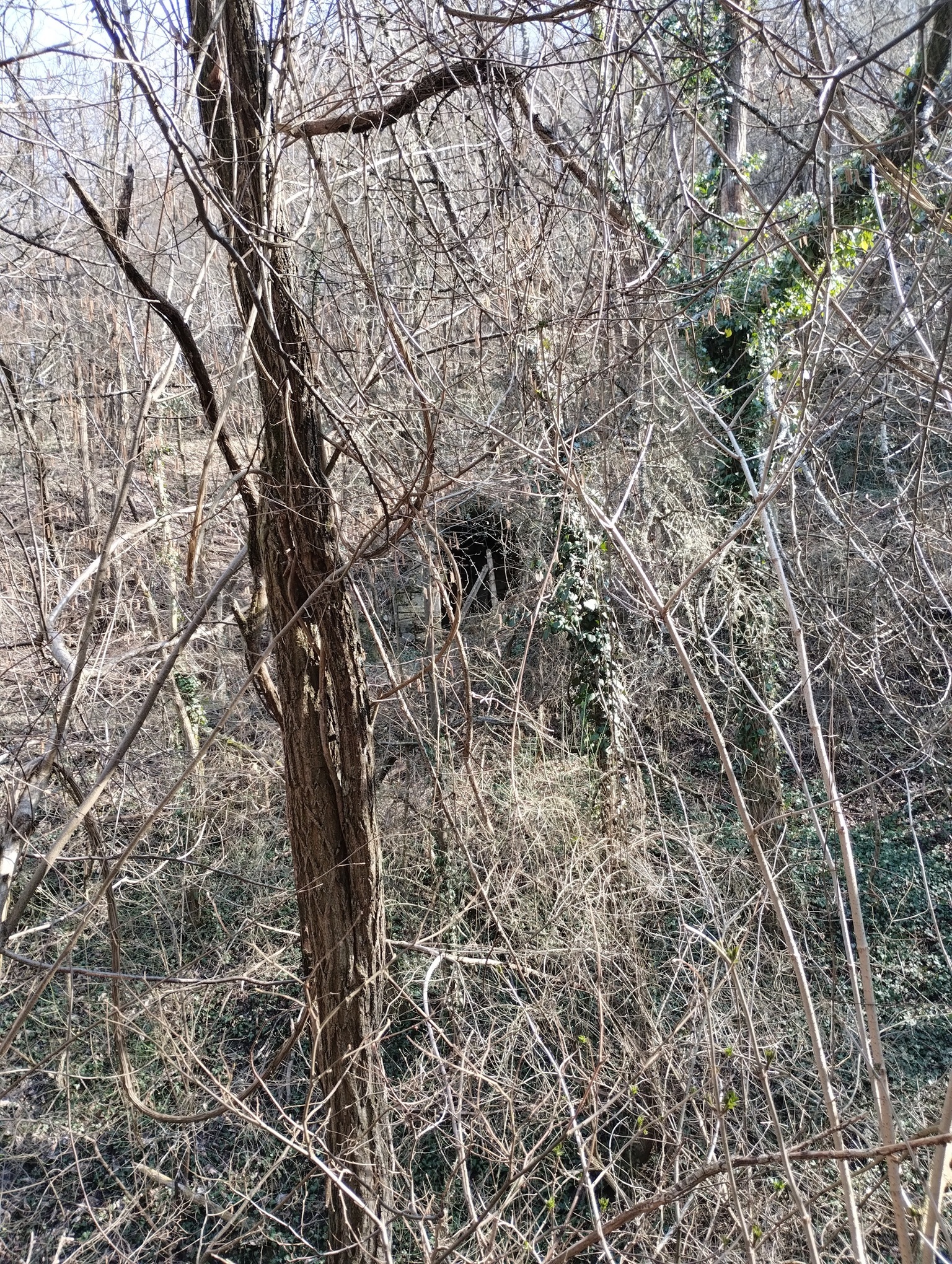 Натиснете снимката за да я уголемите

Име:IMG_20260307_142827186.jpg
Прегледи:0
Размер:2.06 МБ
ID:7029923