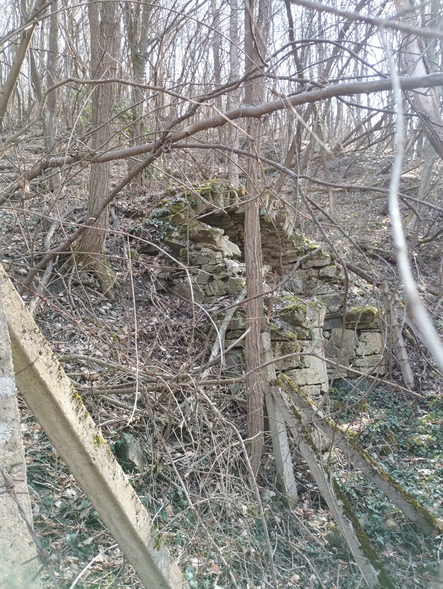 Натиснете снимката за да я уголемите

Име:0001.jpg
Прегледи:0
Размер:1.67 МБ
ID:7029929