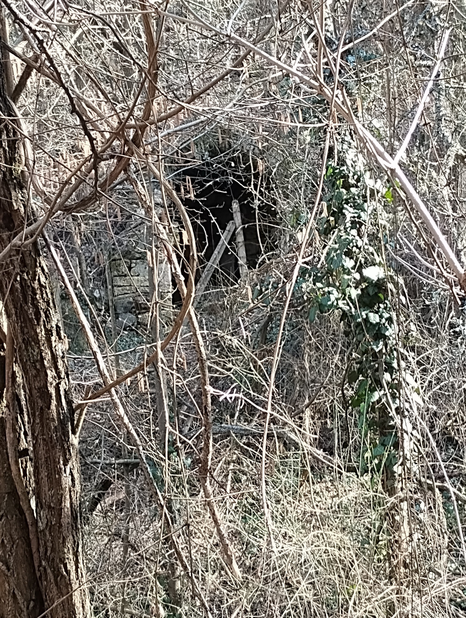 Натиснете снимката за да я уголемите

Име:0002.jpg
Прегледи:0
Размер:1.55 МБ
ID:7029930