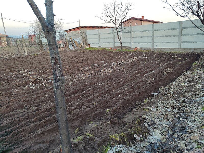 Натиснете снимката за да я уголемите

Име:IMG_20260307_180624.jpg
Прегледи:75
Размер:787.7 КБ
ID:7029945