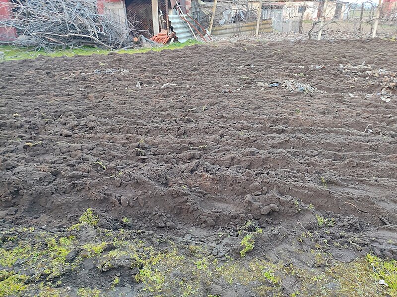 Натиснете снимката за да я уголемите

Име:IMG_20260307_180627.jpg
Прегледи:76
Размер:918.0 КБ
ID:7029946