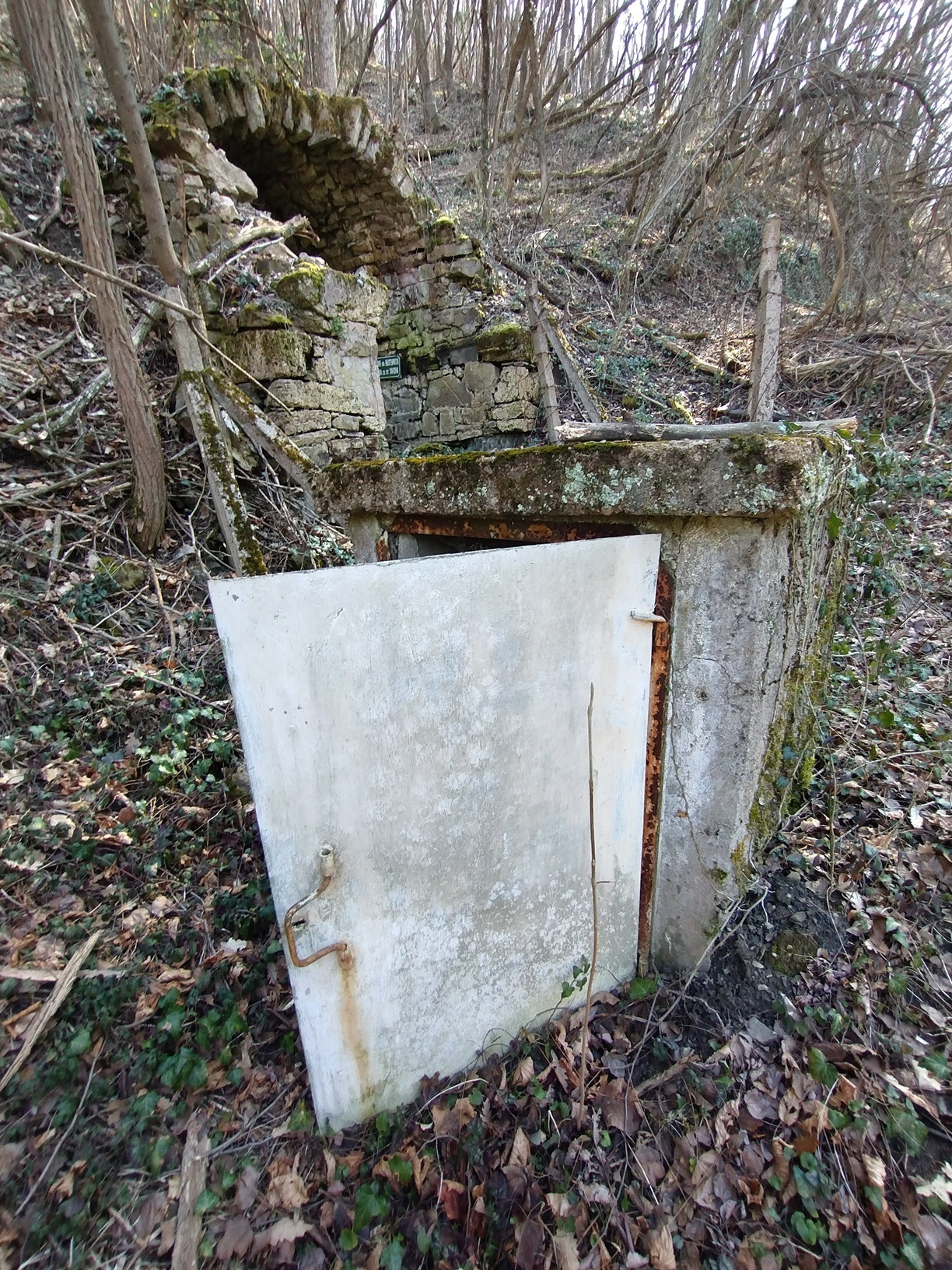 Натиснете снимката за да я уголемите

Име:IMG_20260307_143529398.jpg
Прегледи:0
Размер:1.03 МБ
ID:7029951