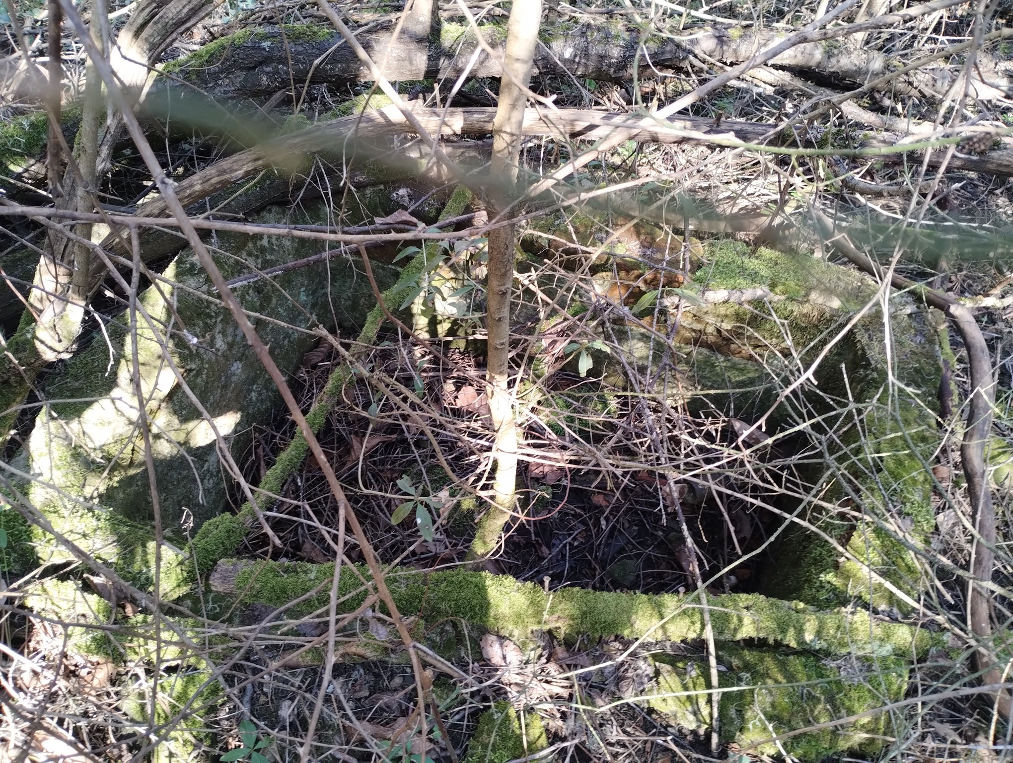 Натиснете снимката за да я уголемите

Име:Korito.jpg
Прегледи:0
Размер:1.55 МБ
ID:7029953