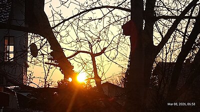 Натиснете снимката за да я уголемите

Име:IMG_20260308_065842_365.jpg
Прегледи:26
Размер:422.5 КБ
ID:7030029