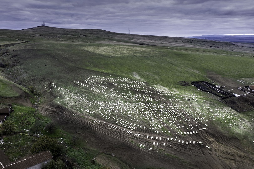 Натиснете снимката за да я уголемите

Име:091120-0700-Edit.jpg
Прегледи:10
Размер:200.3 КБ
ID:7030207