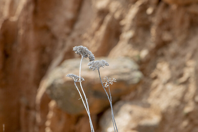 Натиснете снимката за да я уголемите  Име:780_5950.jpg Прегледи:25 Размер:1.54 МБ ID:7030244