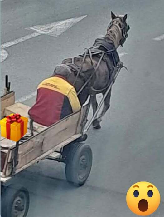 Натиснете снимката за да я уголемите

Име:649387436_25459356197072371_1890900569041111590_n.jpg
Прегледи:0
Размер:27.8 КБ
ID:7031021