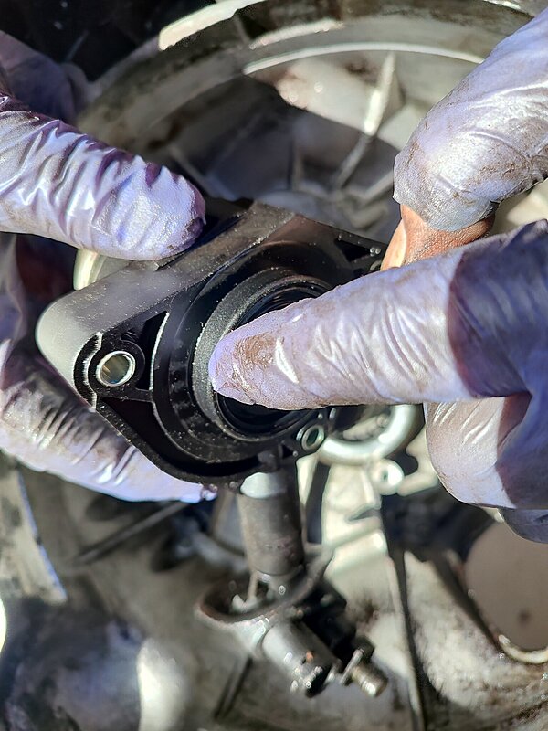 Натиснете снимката за да я уголемите  Име:IMG_20260314_124514.jpg Прегледи:0 Размер:386.1 КБ ID:7031058