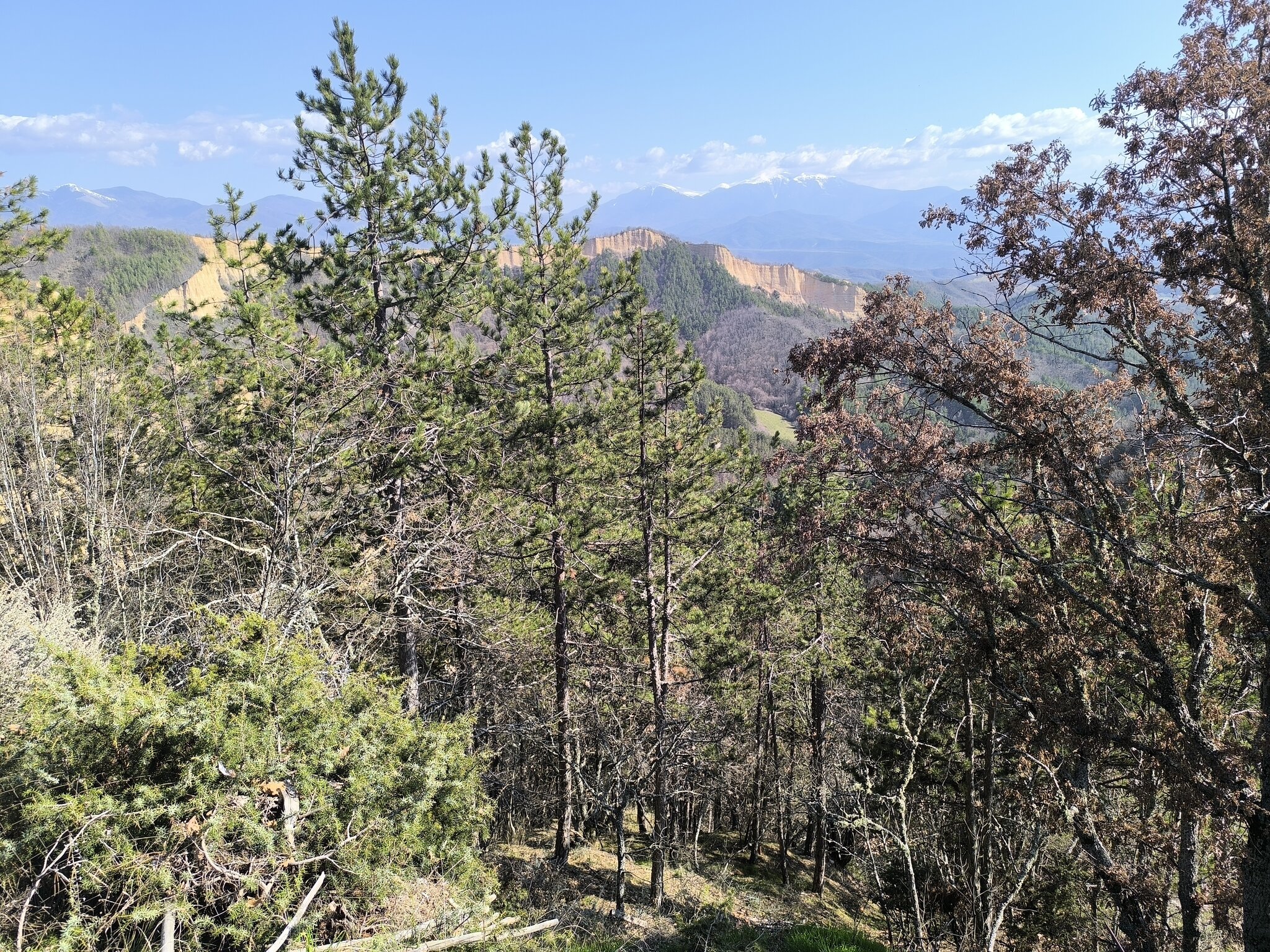 Натиснете снимката за да я уголемите  Име:IMG_20260315_145721.jpg Прегледи:0 Размер:1.39 МБ ID:7031143