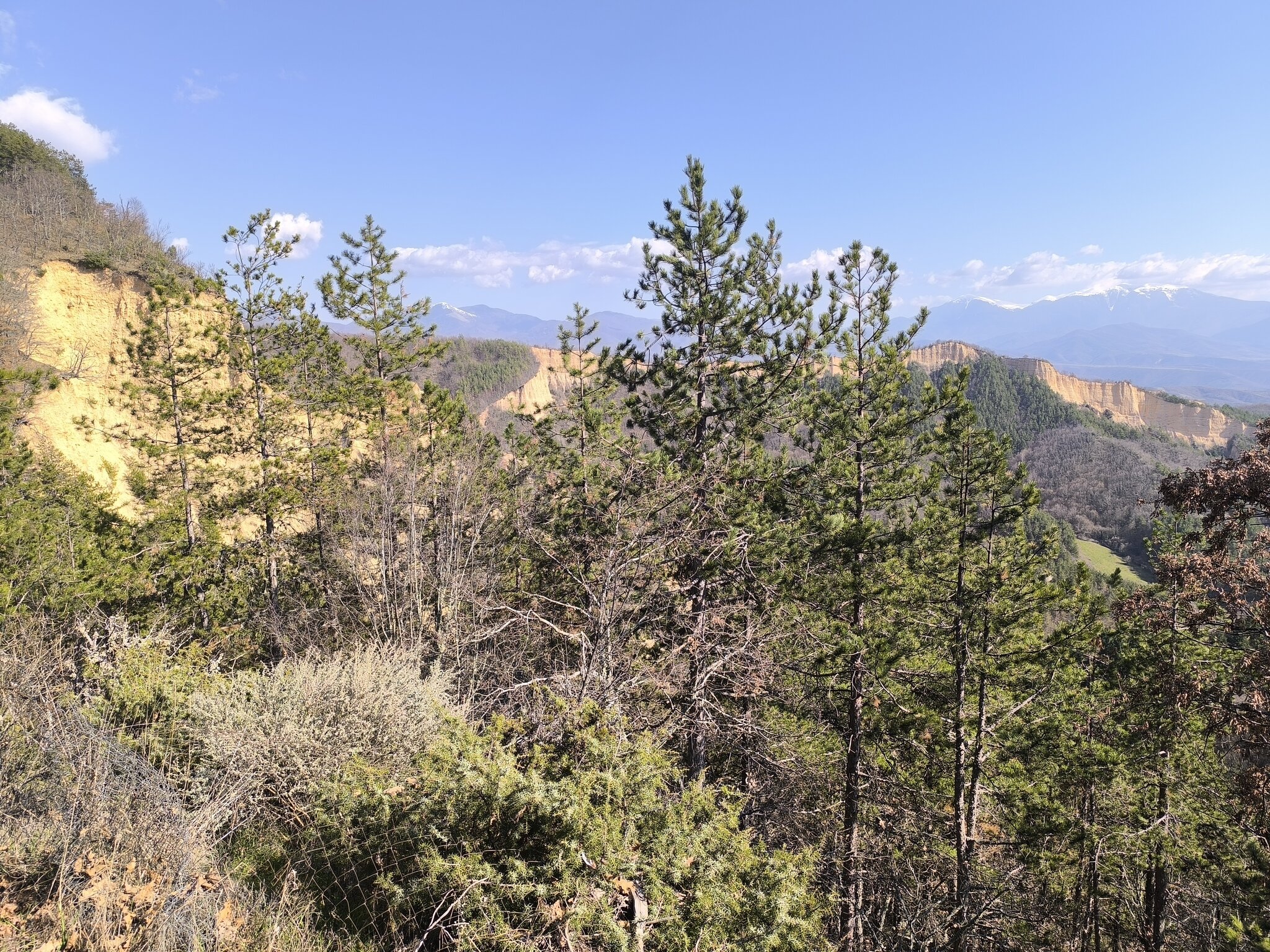 Натиснете снимката за да я уголемите  Име:IMG_20260315_145725.jpg Прегледи:0 Размер:1.19 МБ ID:7031147