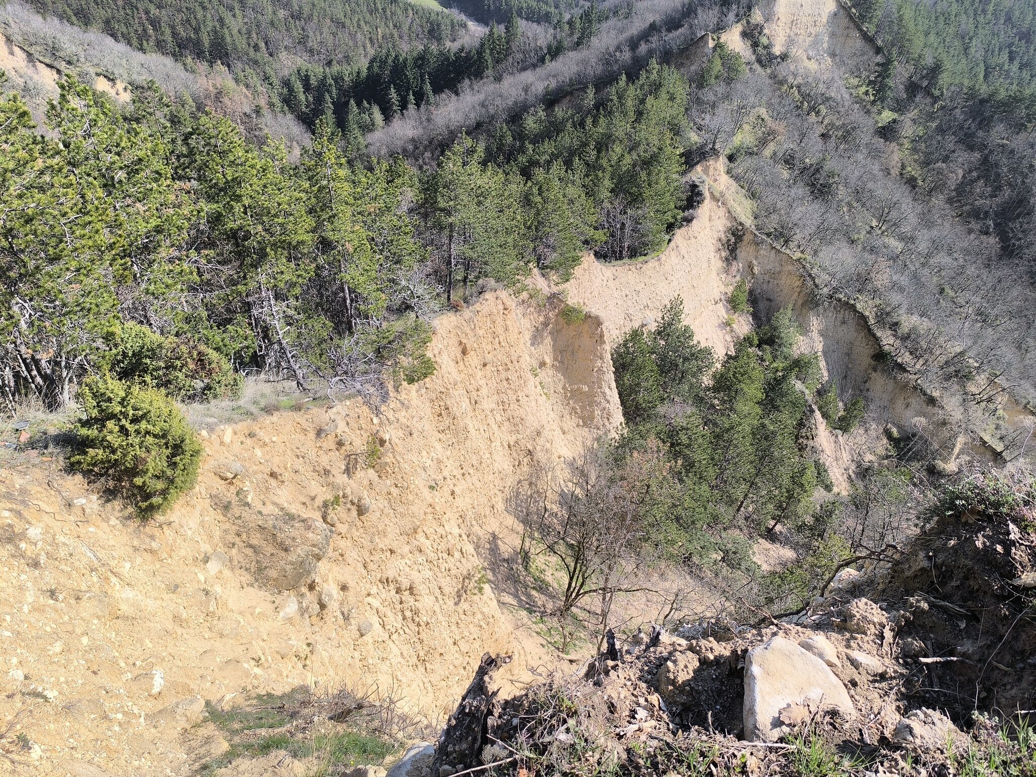 Натиснете снимката за да я уголемите  Име:IMG_20260315_145853.jpg Прегледи:0 Размер:1.41 МБ ID:7031151