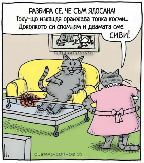 Натиснете снимката за да я уголемите

Име:541148657_1083091337247090_7710573207450964024_n.jpg
Прегледи:0
Размер:49.6 КБ
ID:7031500