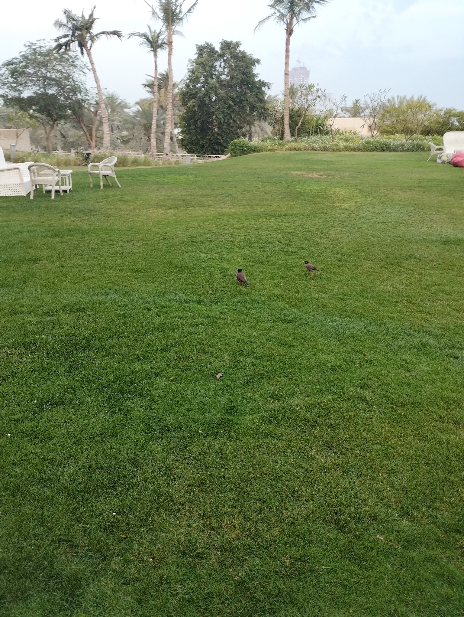 Натиснете снимката за да я уголемите

Име:IMG_20250313_064629527.jpg
Прегледи:0
Размер:1.56 МБ
ID:7032101