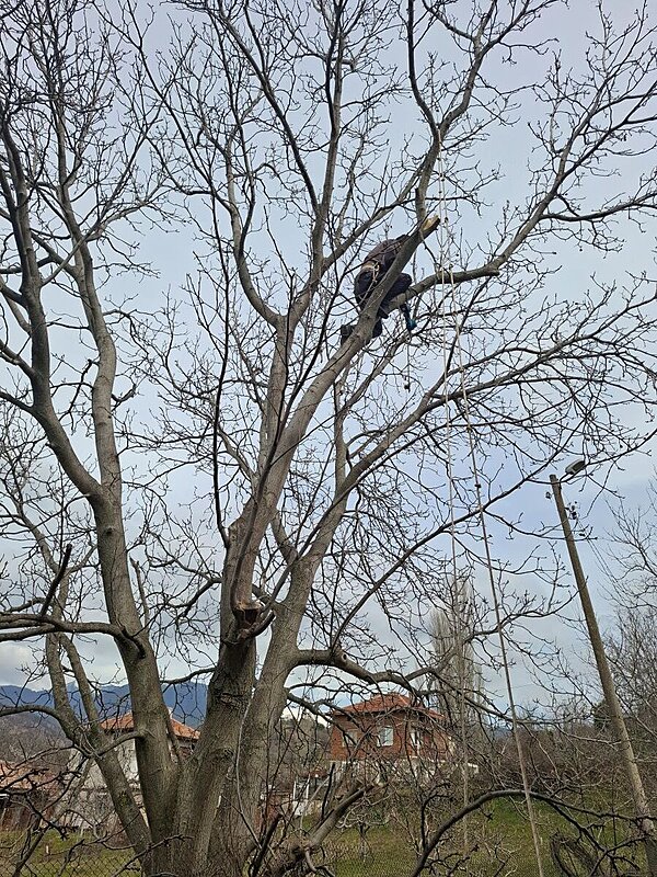 Натиснете снимката за да я уголемите

Име:12.jpg
Прегледи:339
Размер:416.0 КБ
ID:7032184