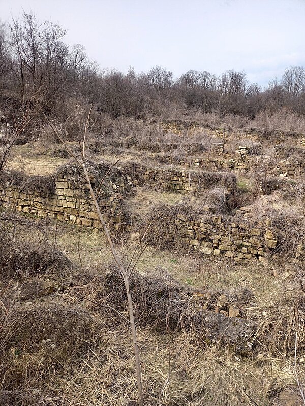 Натиснете снимката за да я уголемите

Име:20260321_111621.jpg
Прегледи:16
Размер:1.24 МБ
ID:7033132