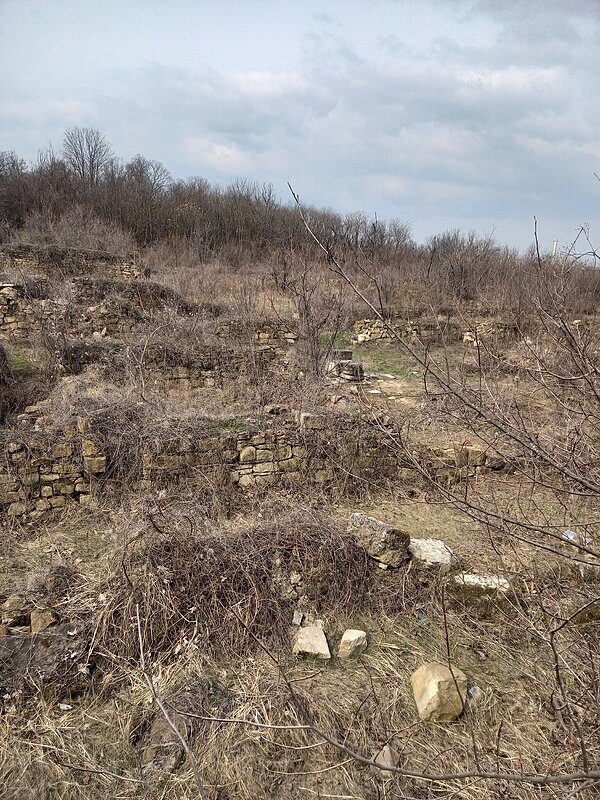 Натиснете снимката за да я уголемите

Име:20260321_111629.jpg
Прегледи:16
Размер:1.10 МБ
ID:7033133