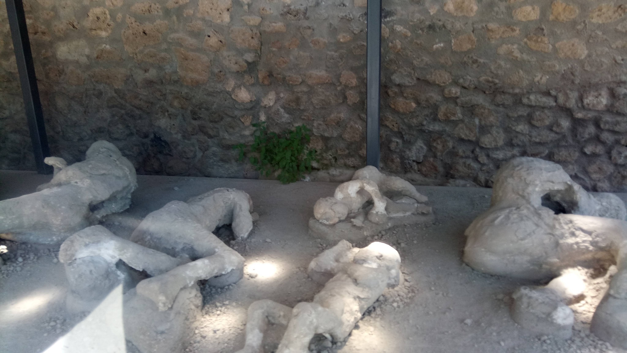 Натиснете снимката за да я уголемите

Име:IMG_20190619_122639.jpg
Прегледи:5
Размер:647.4 КБ
ID:7033268