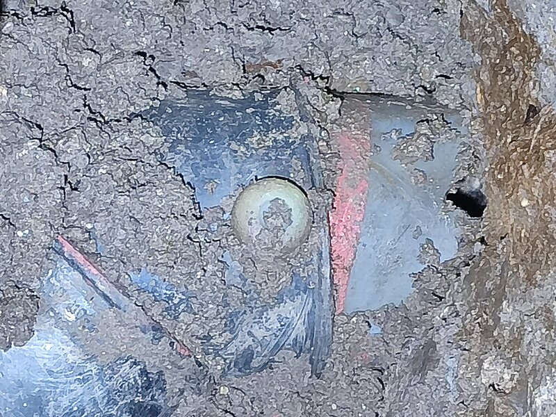 Натиснете снимката за да я уголемите  Име:IMG_20260403_145152.jpg Прегледи:0 Размер:598.3 КБ ID:7033747