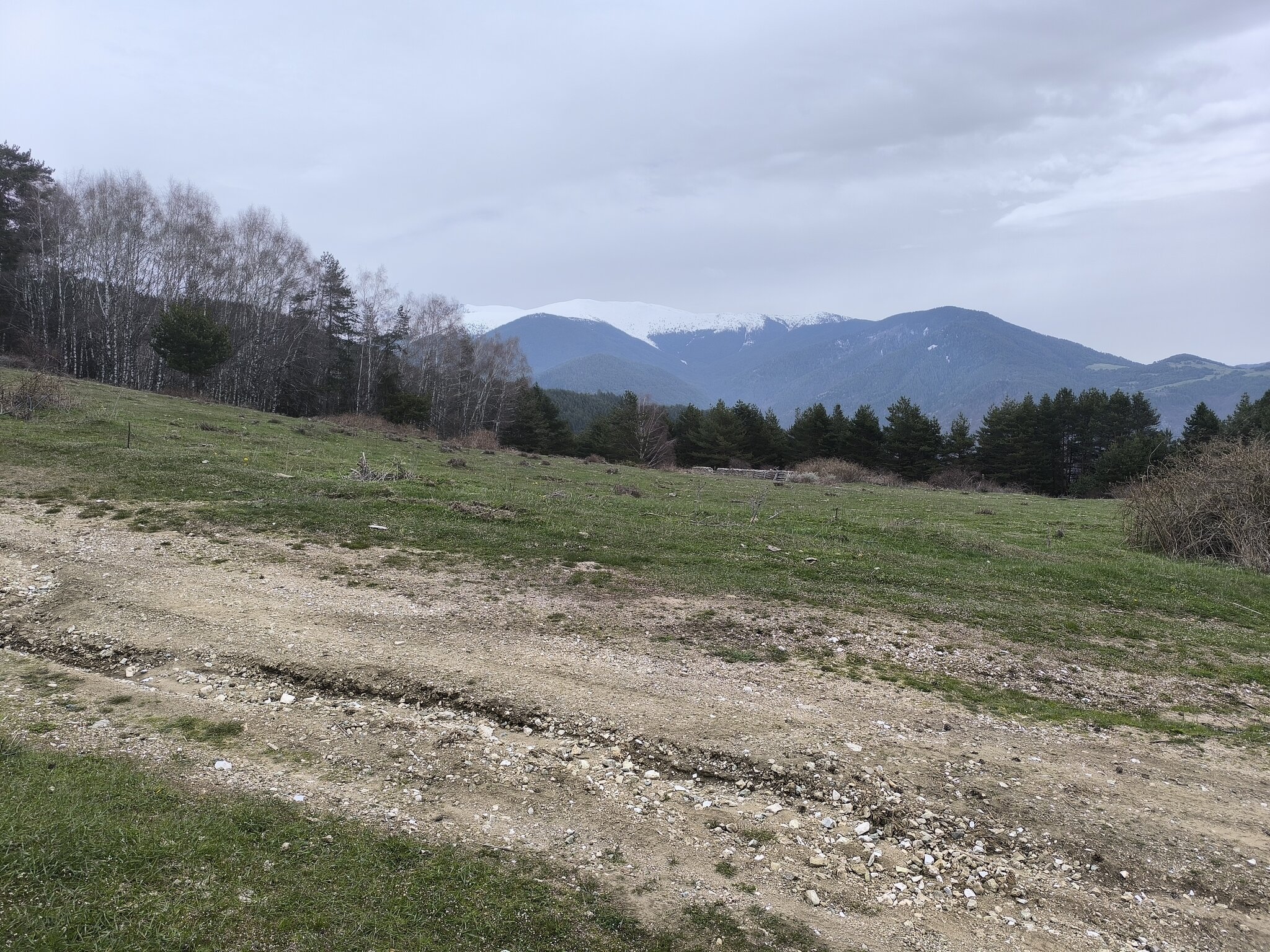 Натиснете снимката за да я уголемите  Име:IMG_20260414_124408.jpg Прегледи:0 Размер:1,015.2 КБ ID:7035271