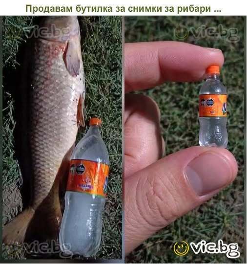 Натиснете снимката за да я уголемите

Име:672467187_1440151958155178_3382859543327202377_n.jpg
Прегледи:2
Размер:41.0 КБ
ID:7035330