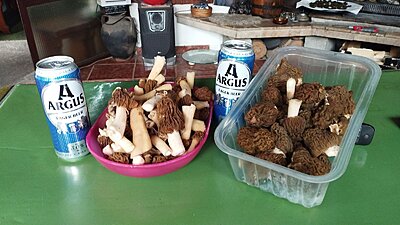 Натиснете снимката за да я уголемите

Име:viber_image_2026-04-16_16-52-52-287.jpg
Прегледи:0
Размер:208.1 КБ
ID:7035555